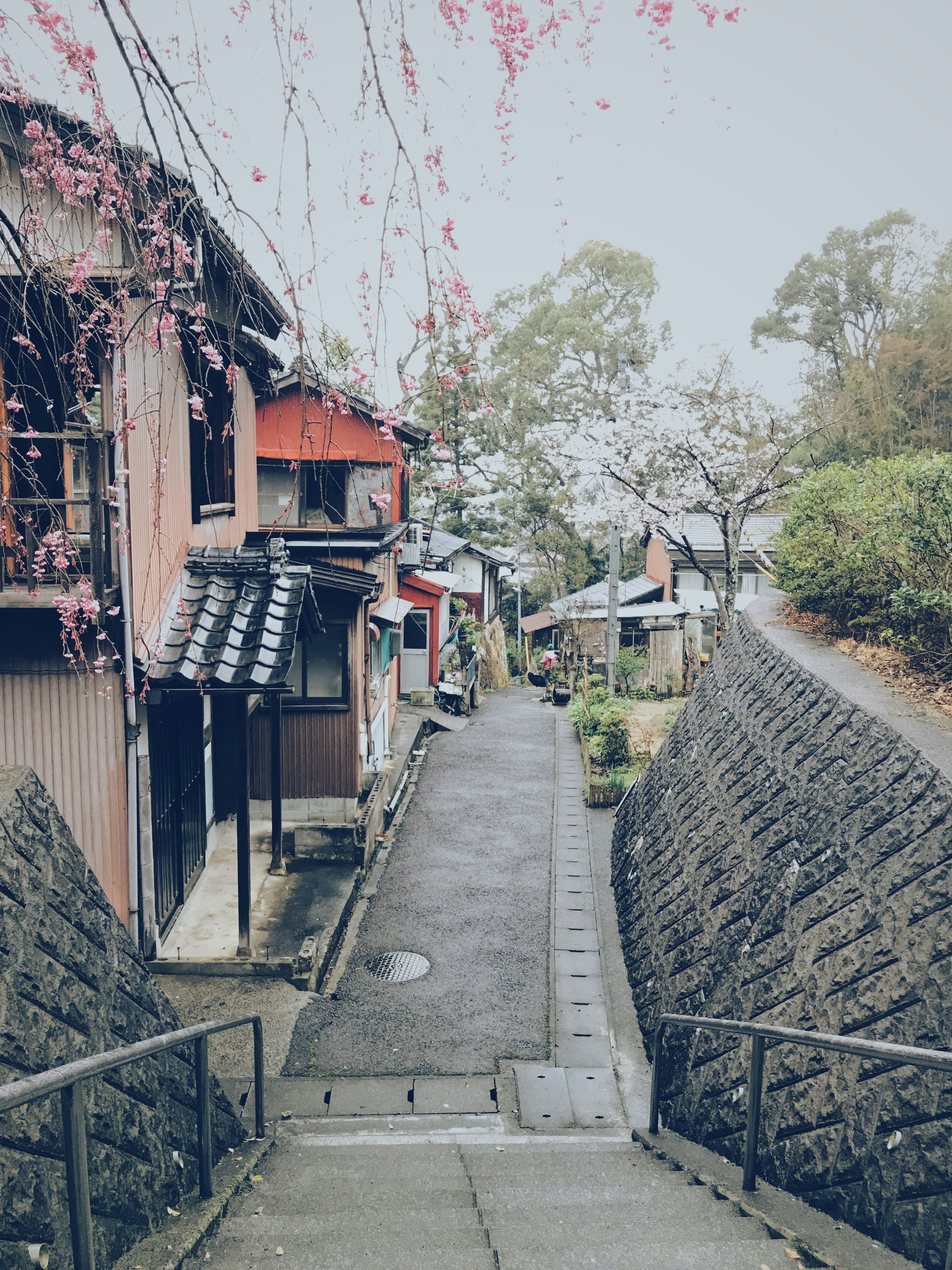 Photo by orcamatsu