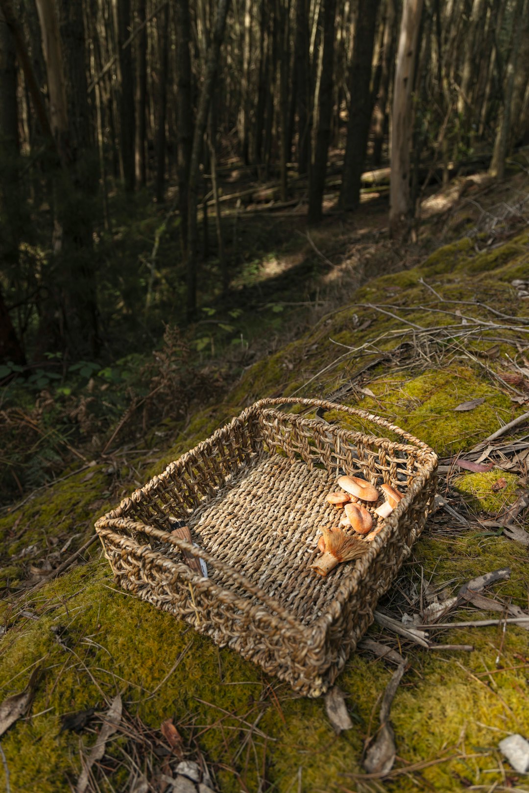 brown rabbit on brown woven basket