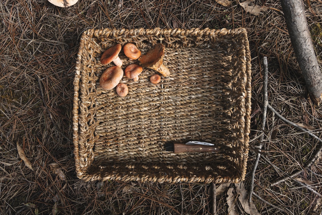 brown woven basket on white sand