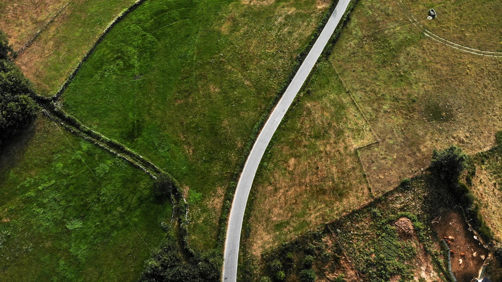 alambre recubierto de blanco en campo de hierba verde