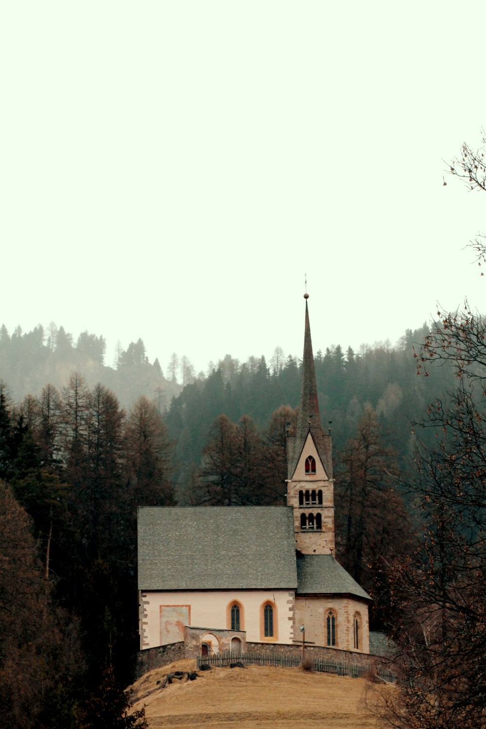 brown and gray concrete building near green trees under white sky during daytime