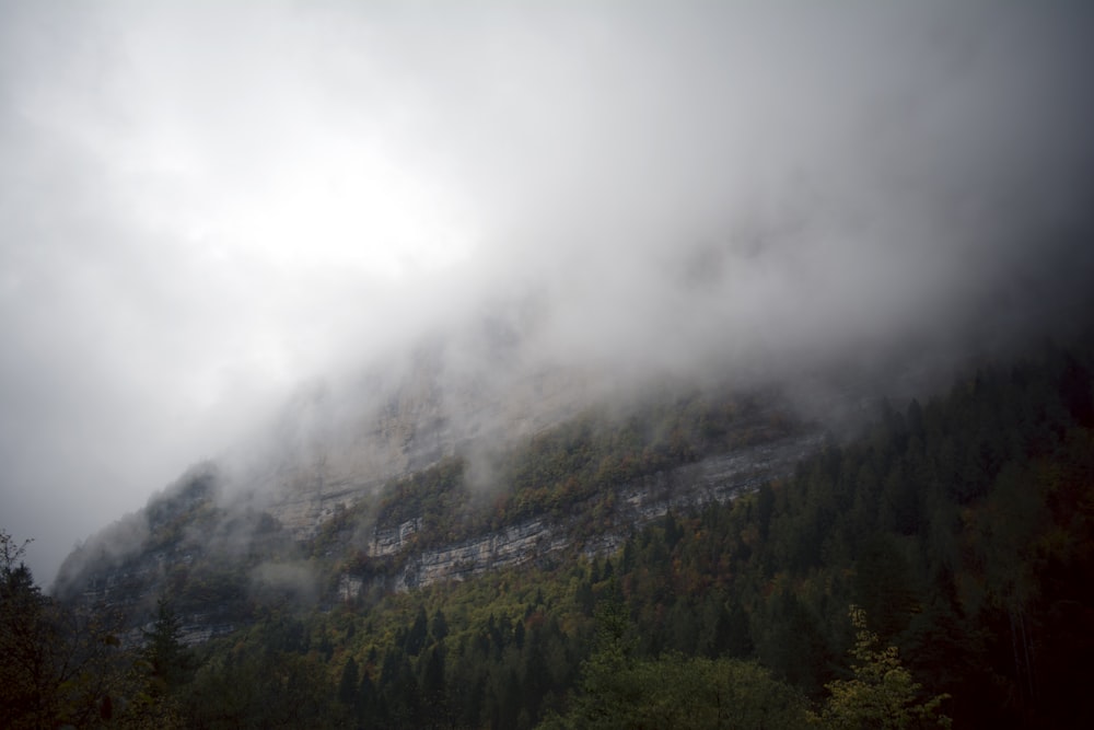 green trees on mountain under white clouds during daytime