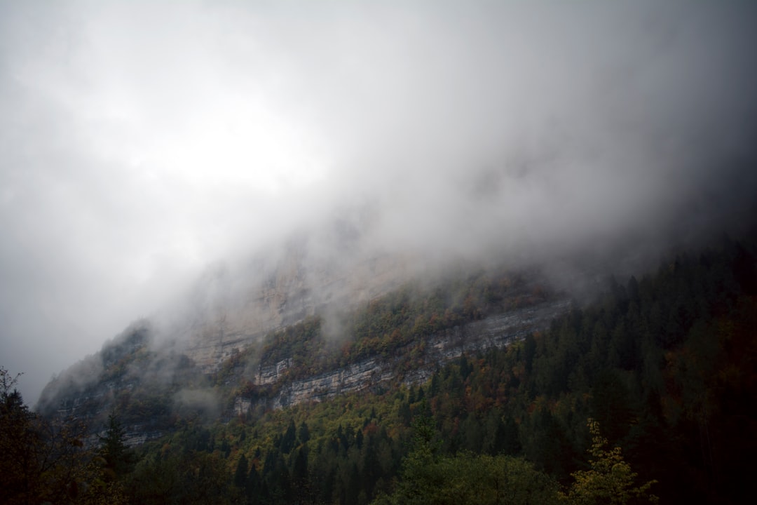 green trees on mountain under white clouds during daytime