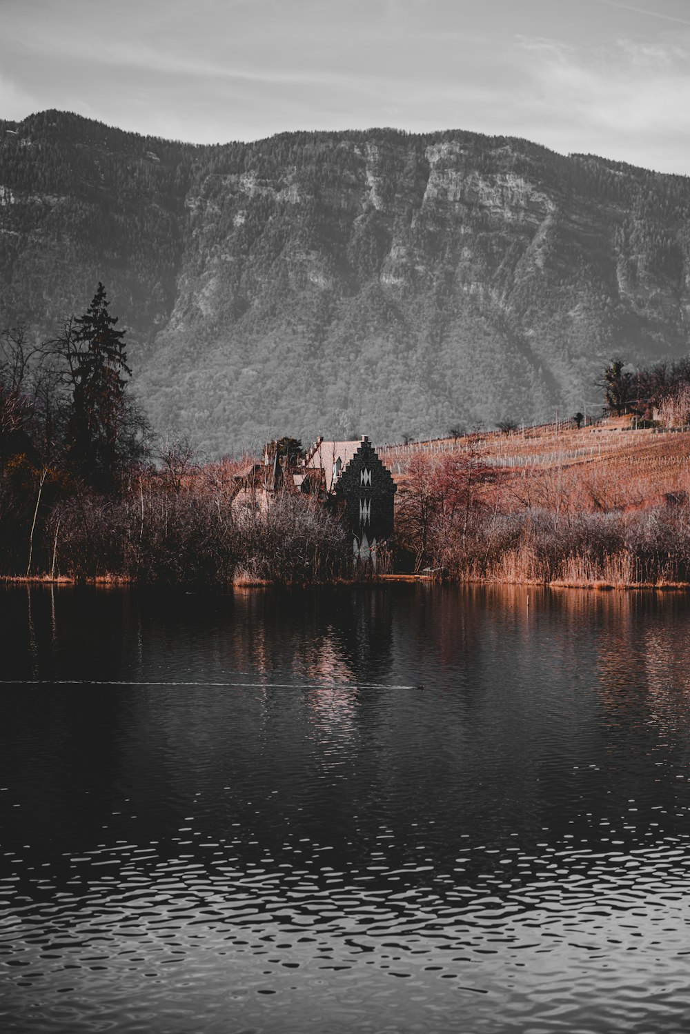 brown wooden house near lake and trees