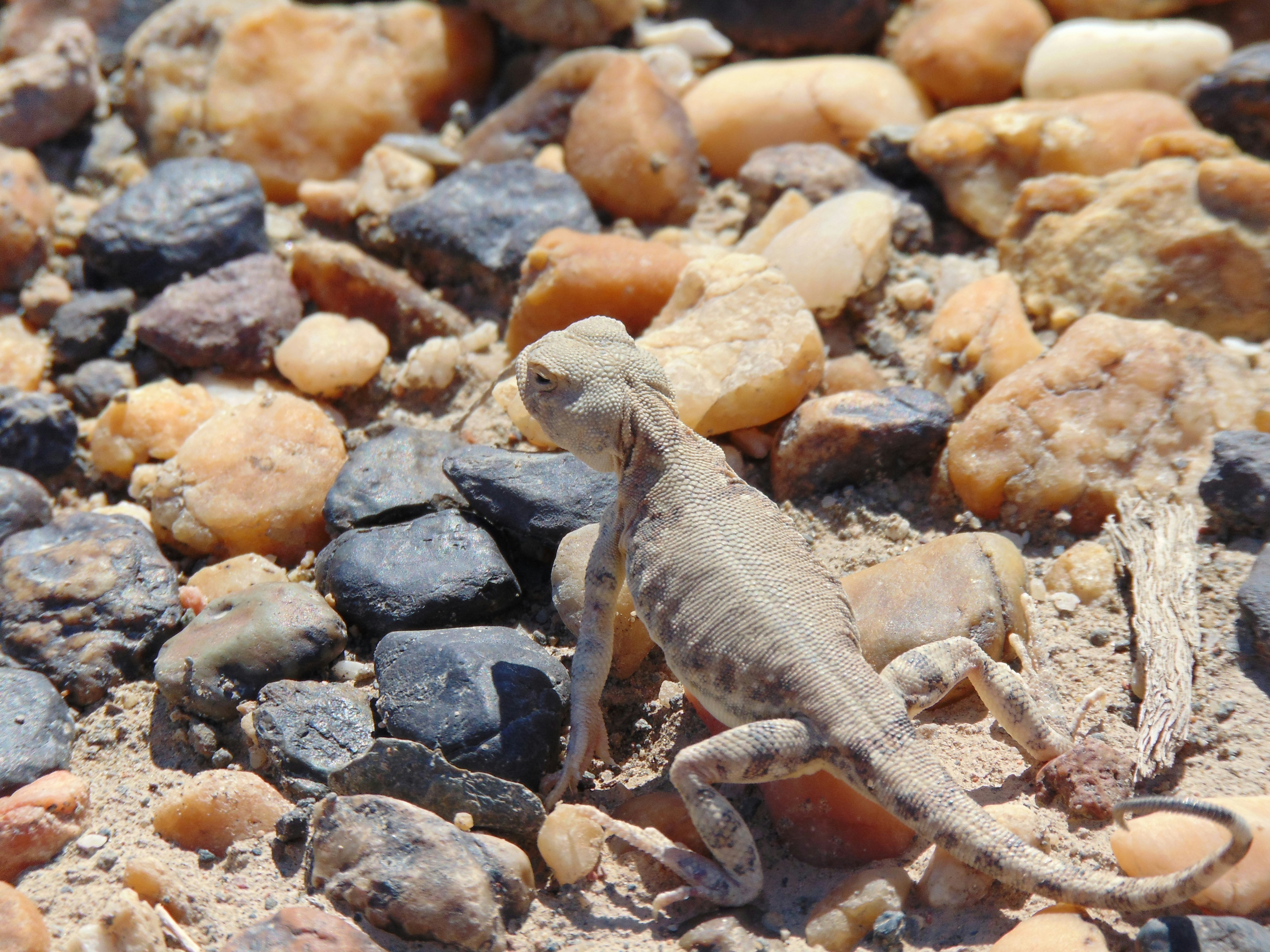 Photo by wangvictor222