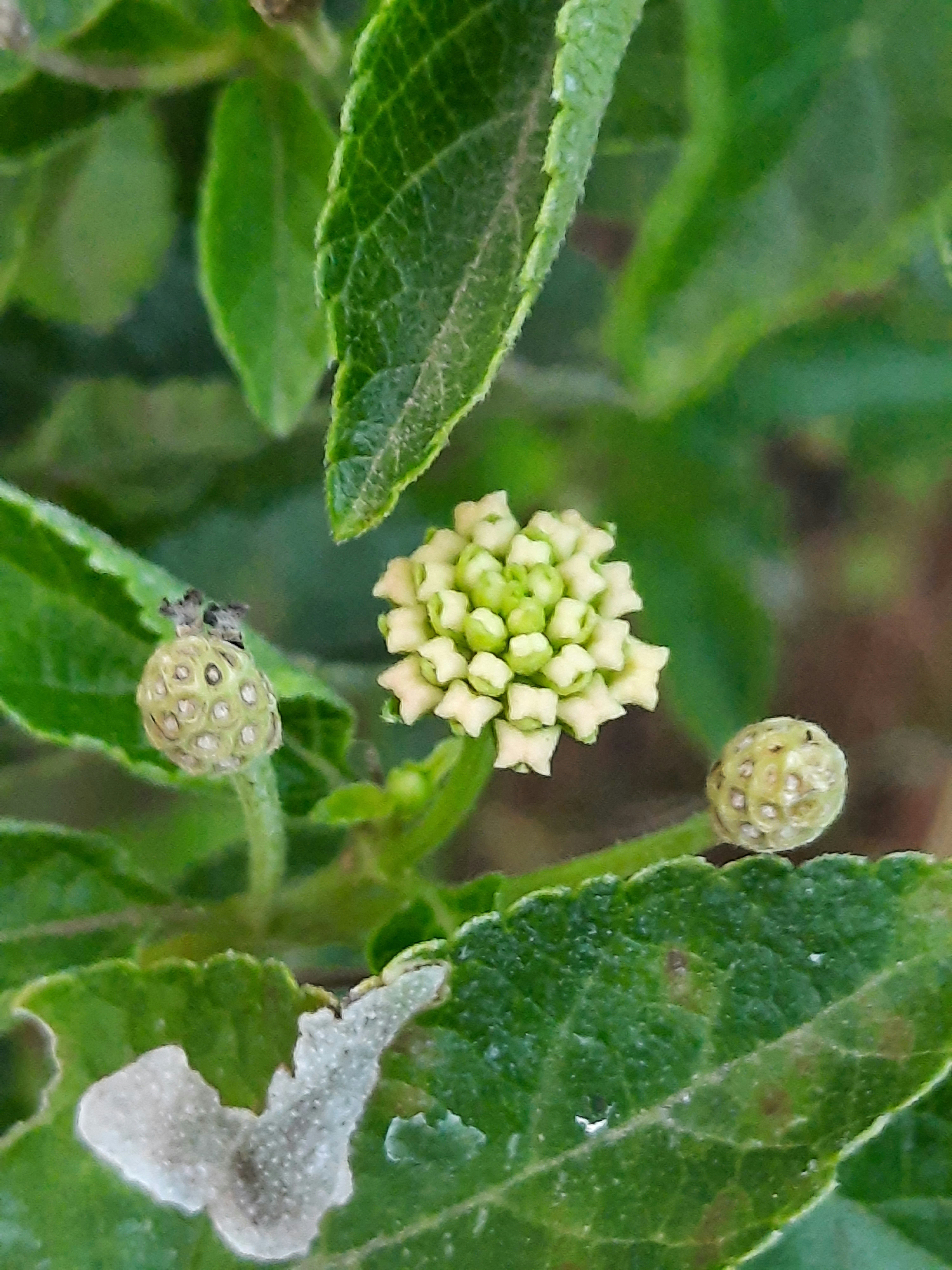 Photo by mani_ranganaath