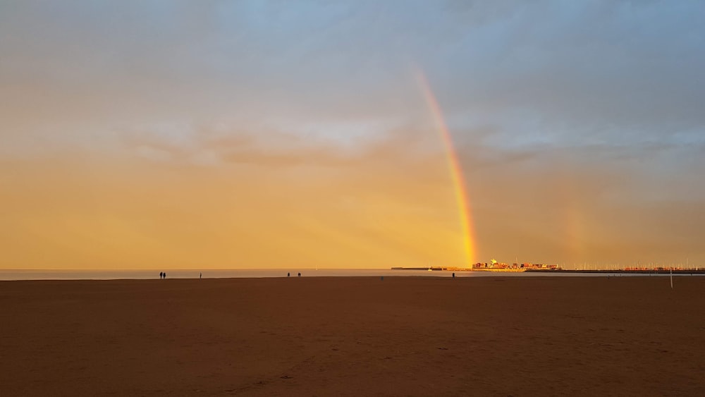 people on beach during sunset