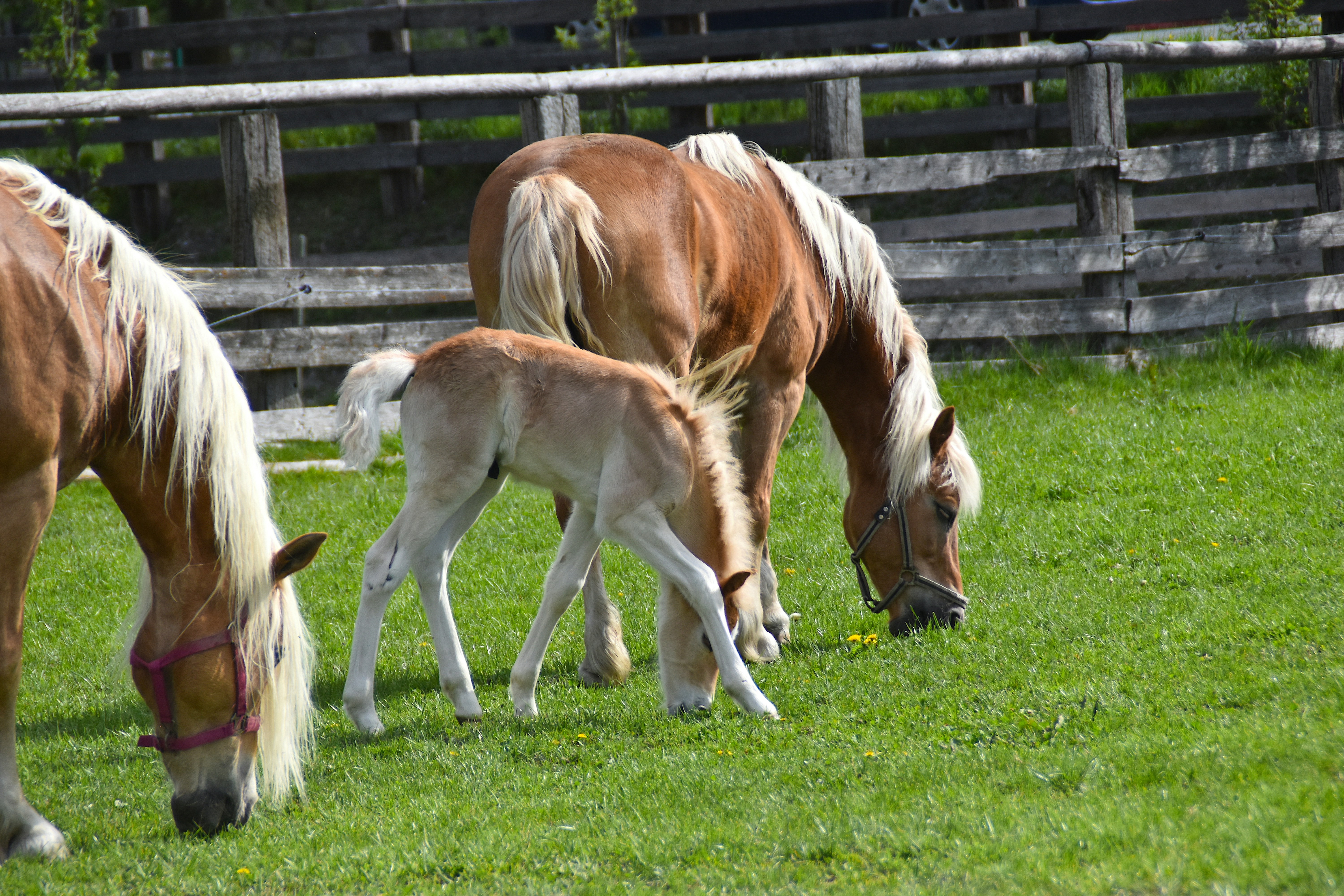 Photo by barrystriker