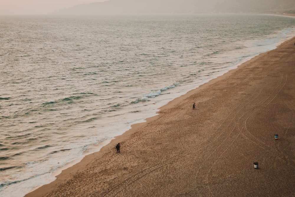 brown sand near body of water during daytime