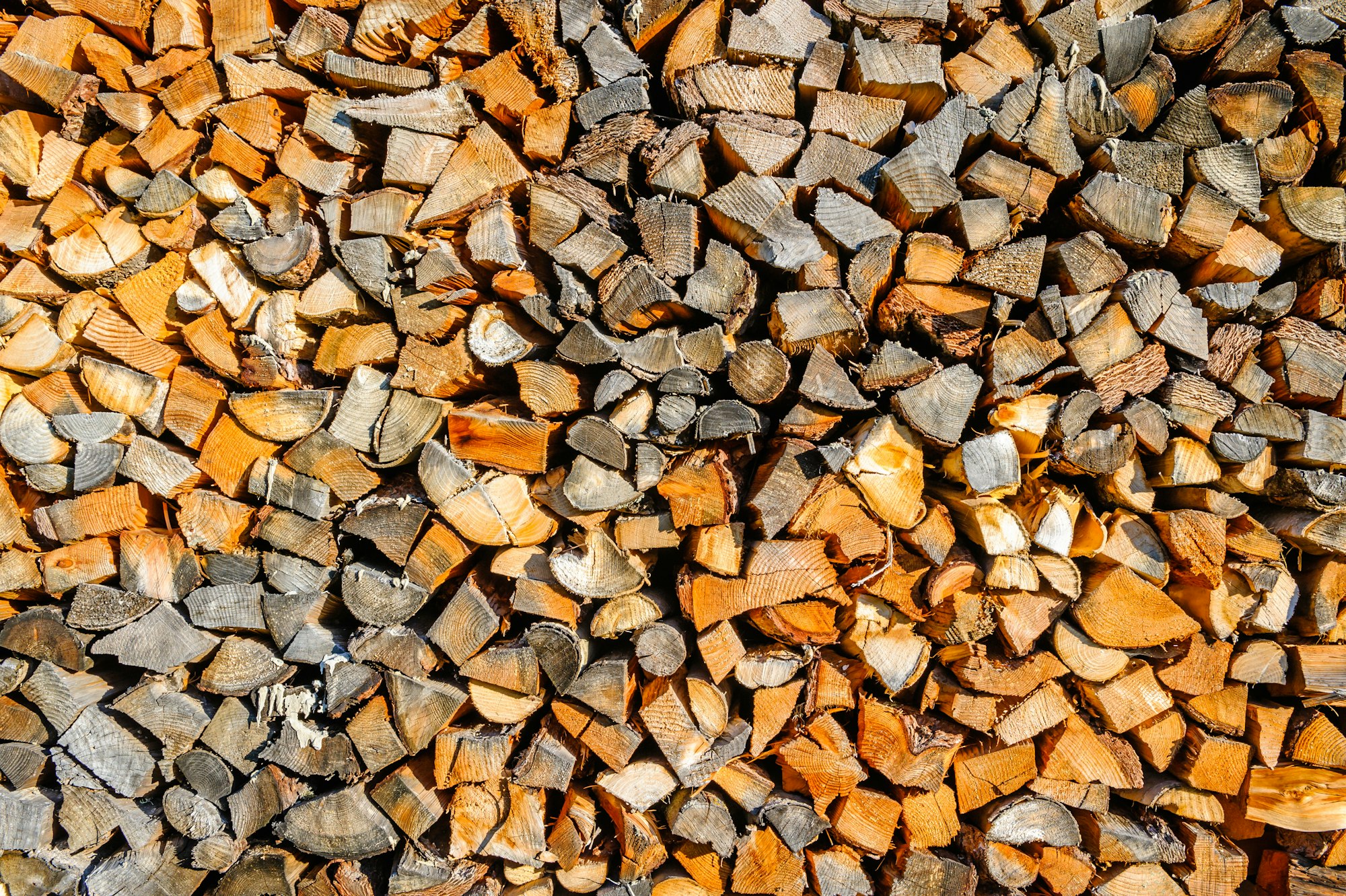 Stacks of wood in front of the house