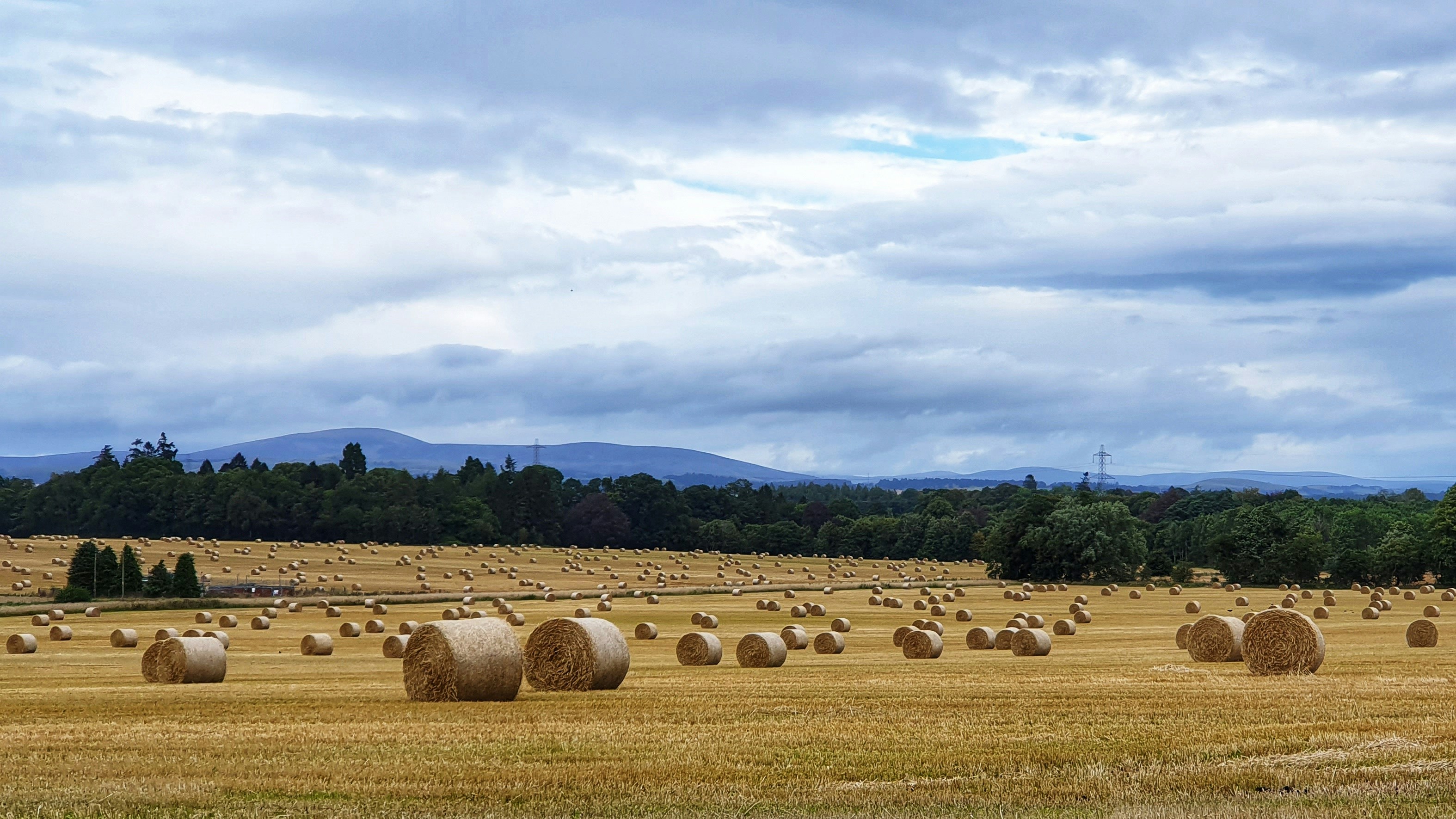 brown hays under white clouds and blue sky during daytime, 