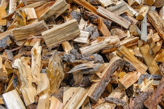 A pile of chopped firewood is stacked in a haphazard manner, showcasing various textures and grains. The pieces vary in size and shape, displaying a range of bark and exposed wood. Some logs feature darker bark, while others highlight lighter, freshly cut wood.