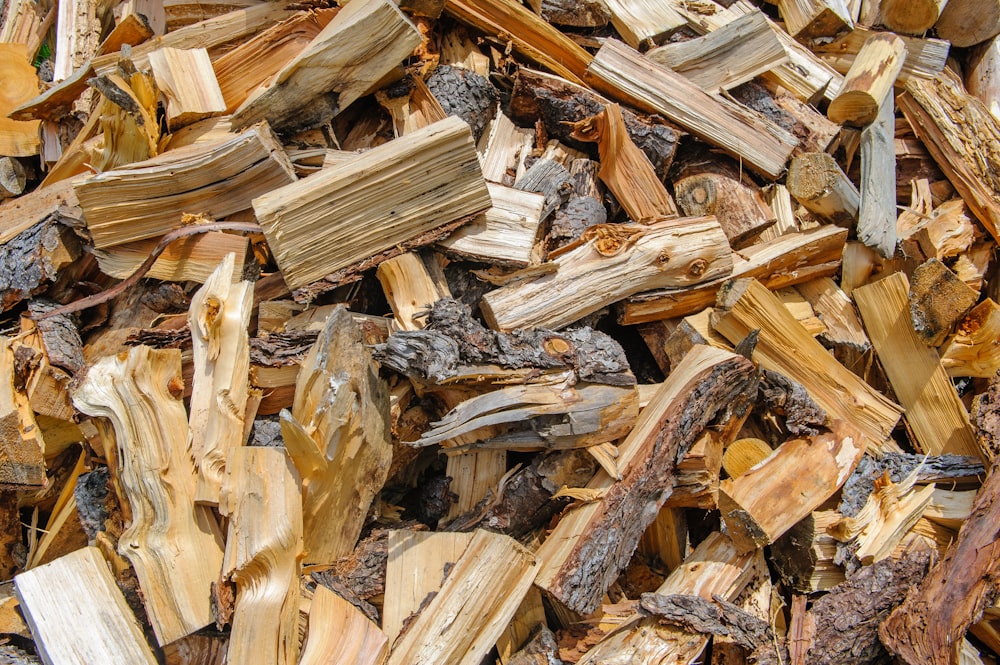 tronco di legno marrone su superficie di legno marrone