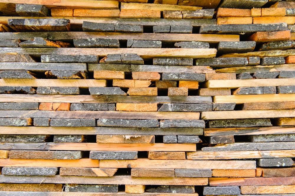 brown and gray wooden logs