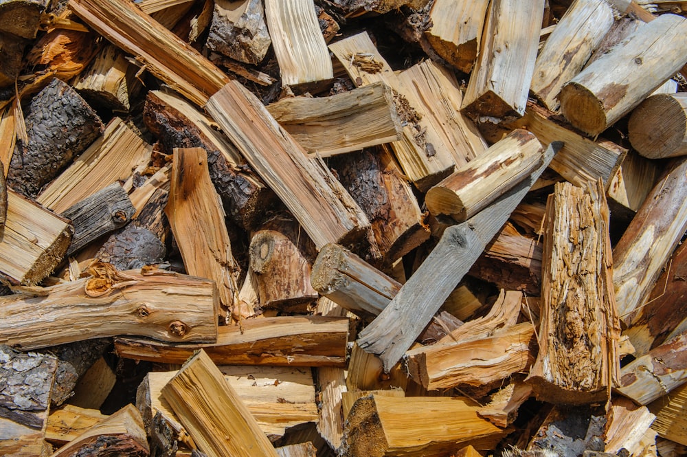 tronchi di legno marroni e grigi