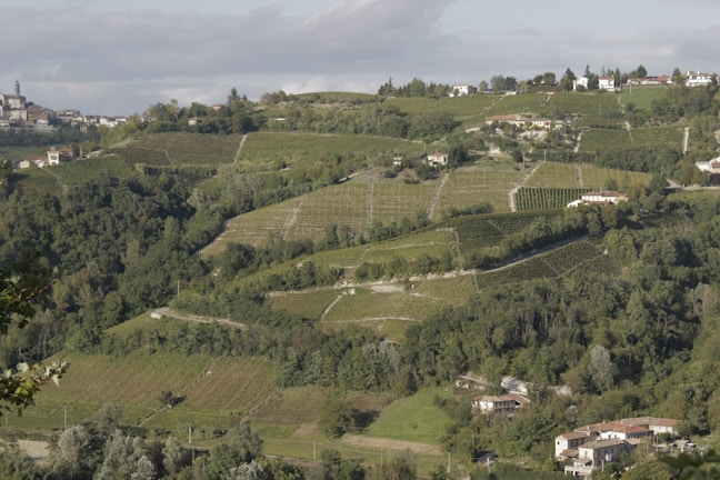 A picturesque rural landscape features rolling hills covered in lush green vineyards. Small houses and buildings are scattered across the hillside, and dense clusters of trees fill the areas between the cultivated plots. The distant horizon shows a quaint village with a prominent steeple rising above the other structures.