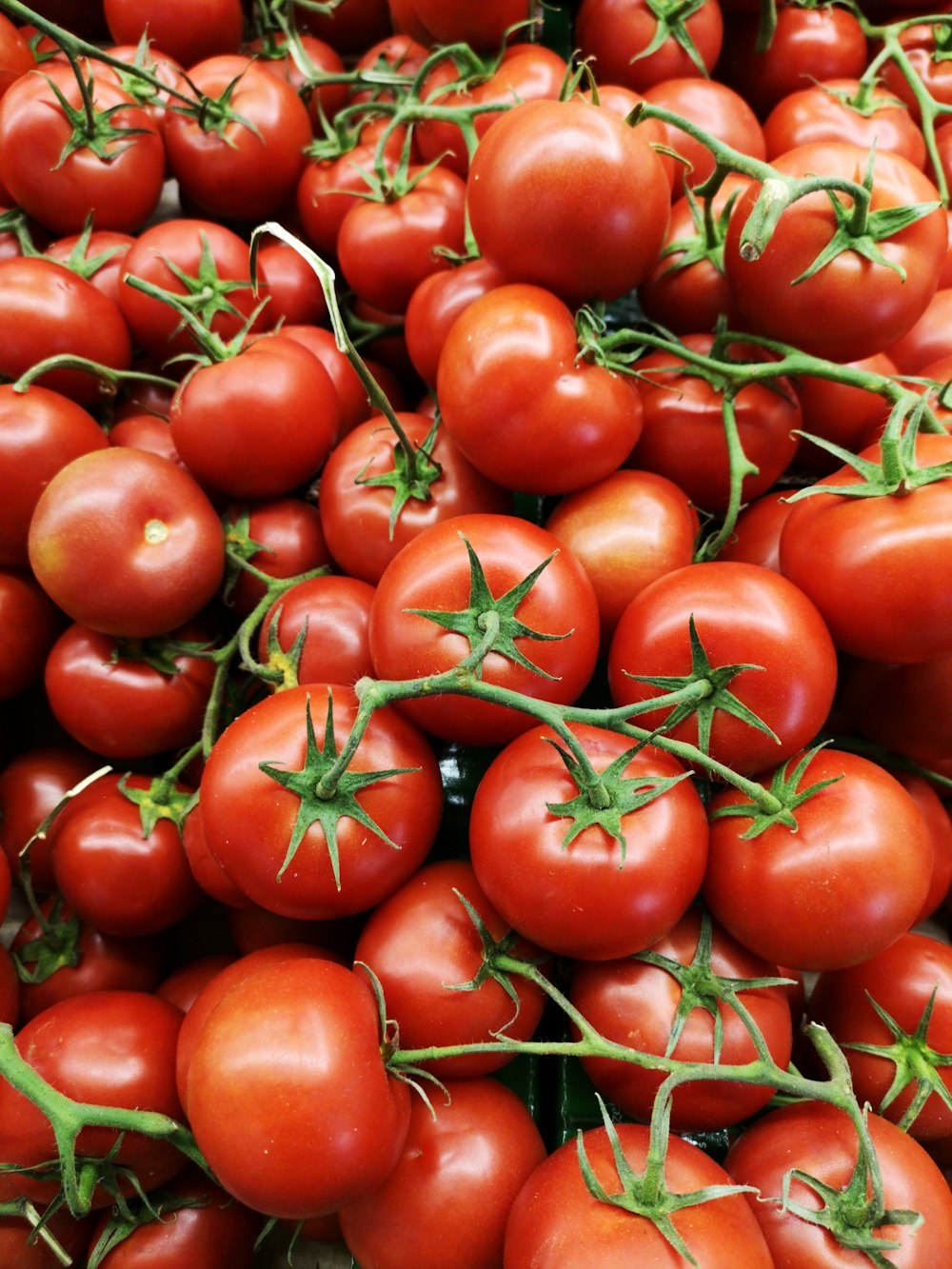 red tomatoes on brown wooden table