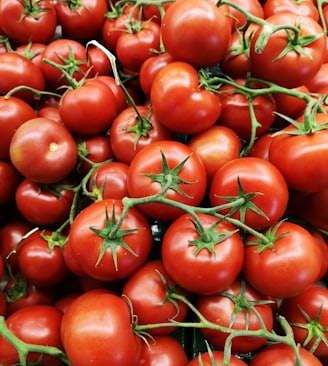 red tomatoes on brown wooden table