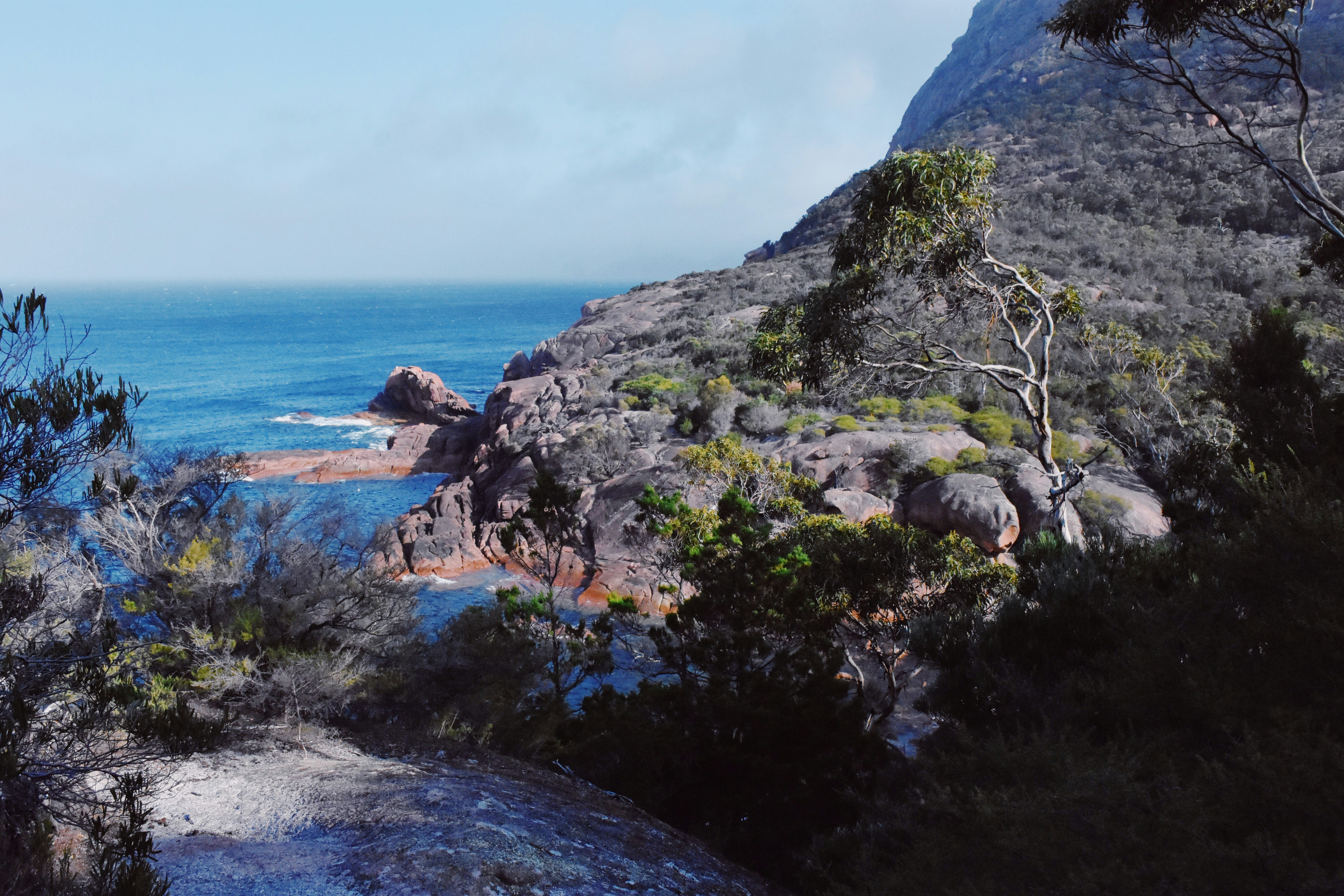 green trees on rocky mountain by the sea under blue sky during daytime, 