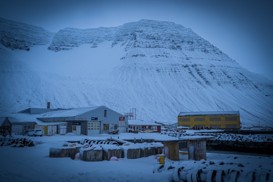 white and brown houses near snow covered mountain during daytime in Ísafjörður Iceland