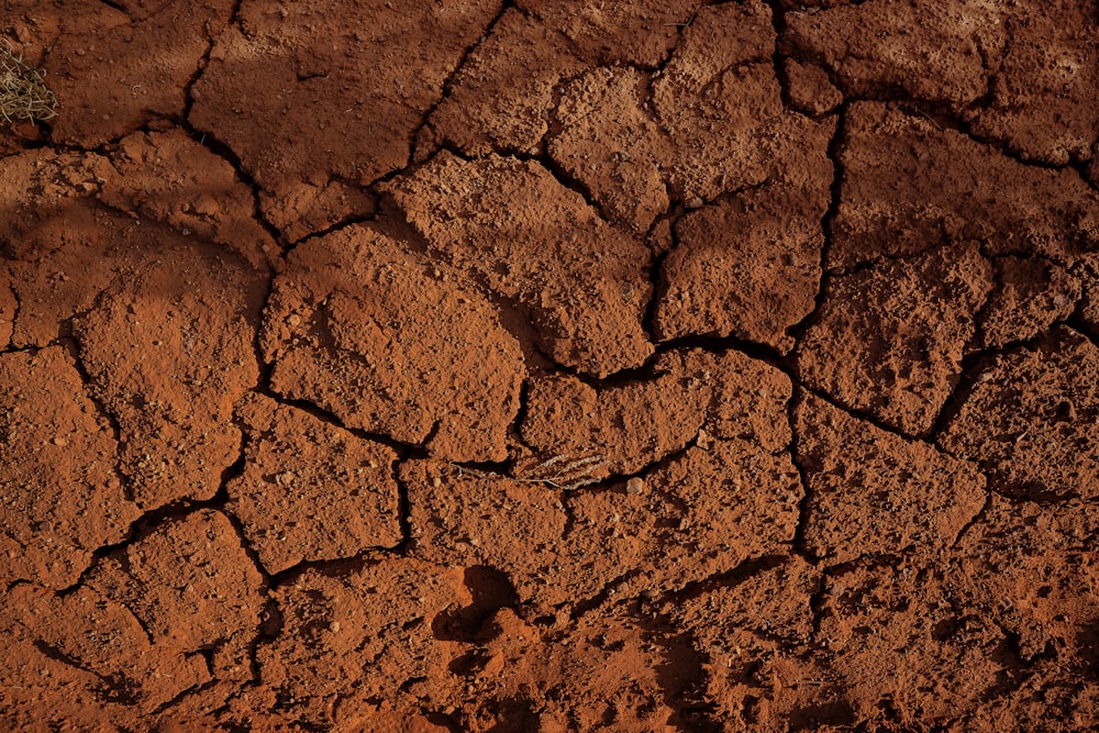 brown concrete brick wall during daytime