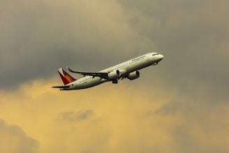 white and red air plane flying in the sky during daytime