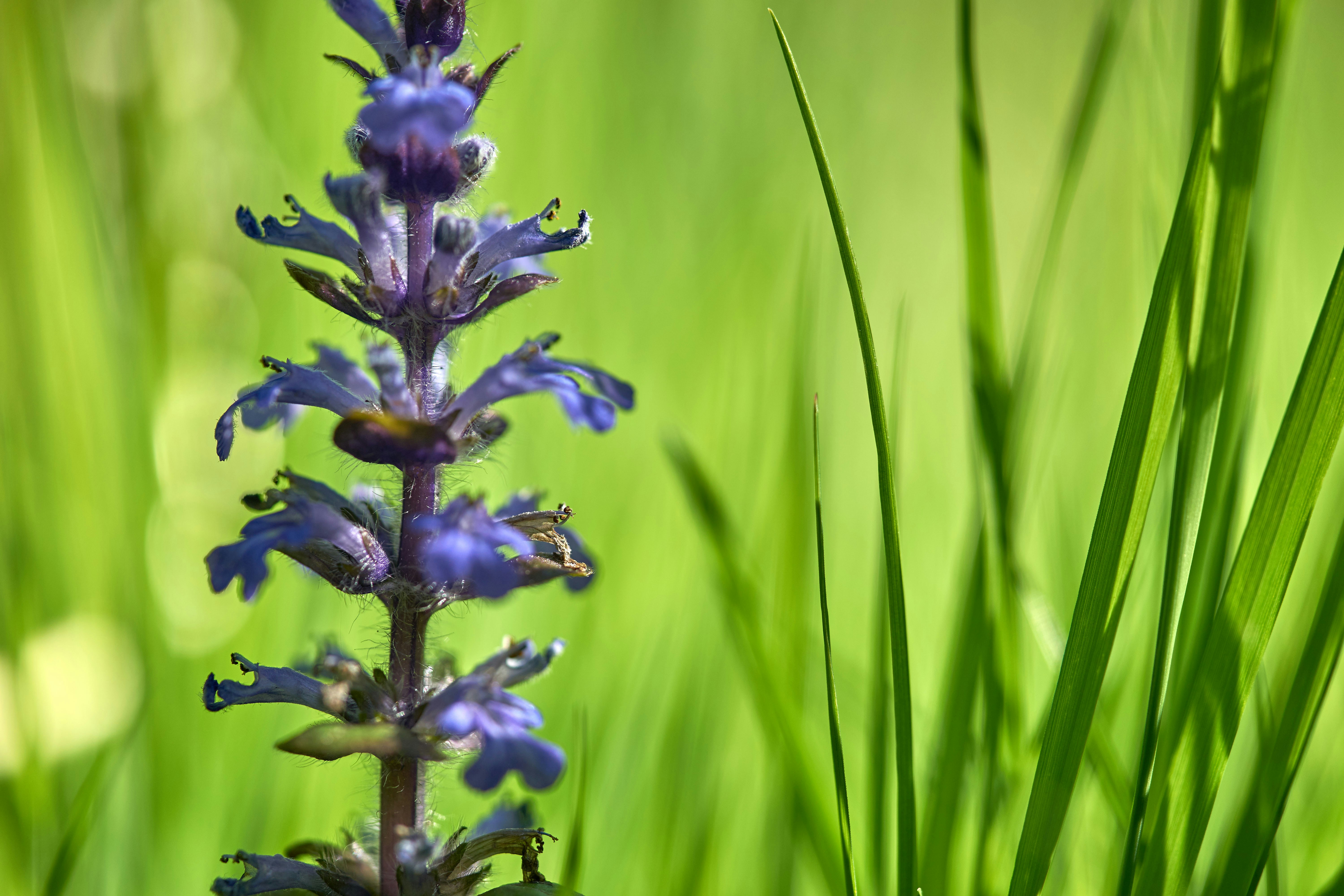 Photo by wolfgang_hasselmann