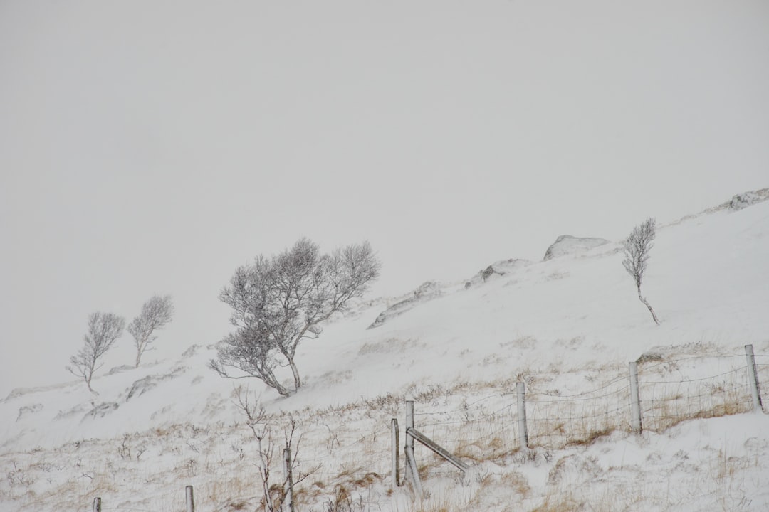 snow covered mountain during daytime