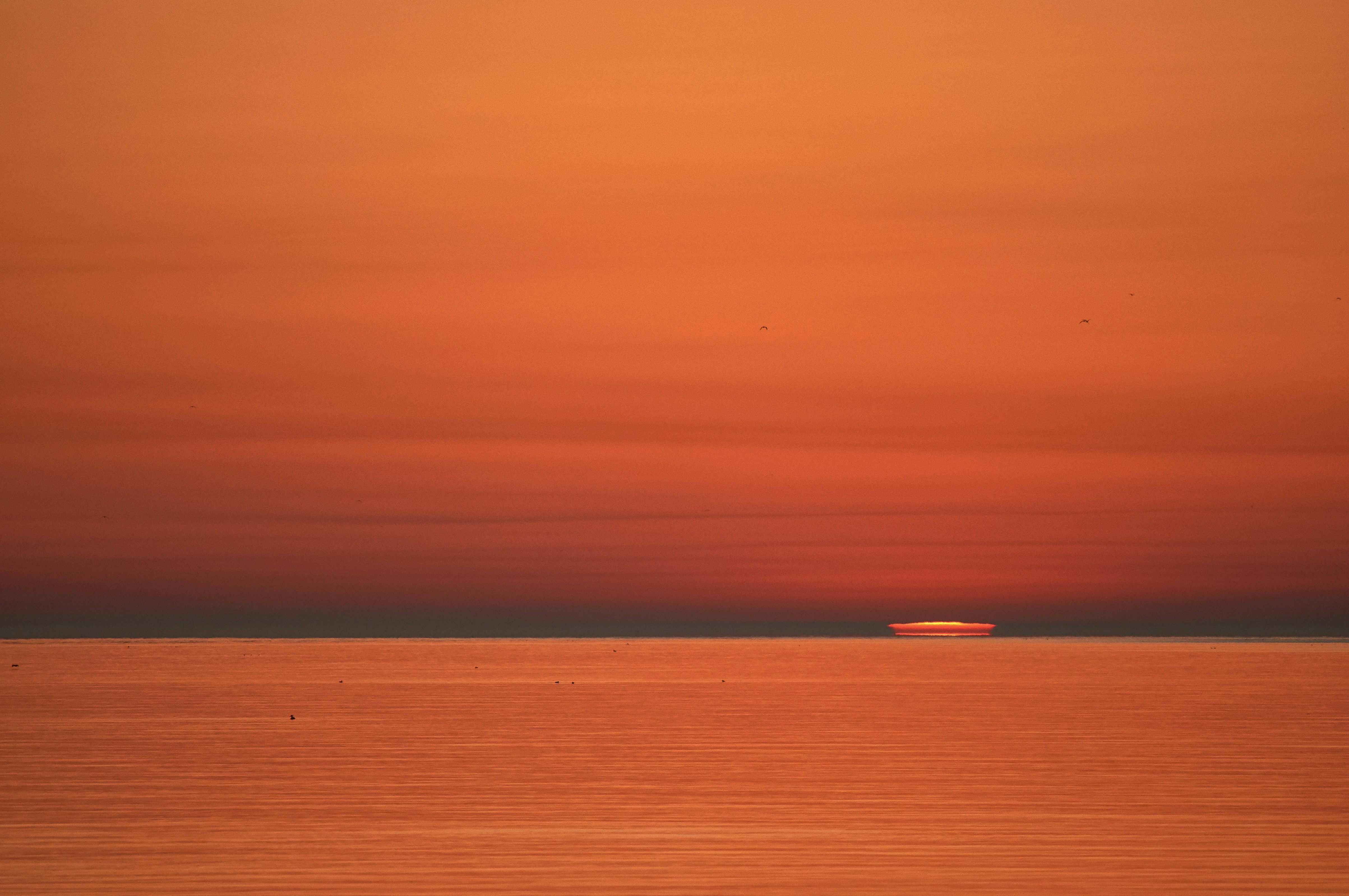 Photo by wolfgang_hasselmann