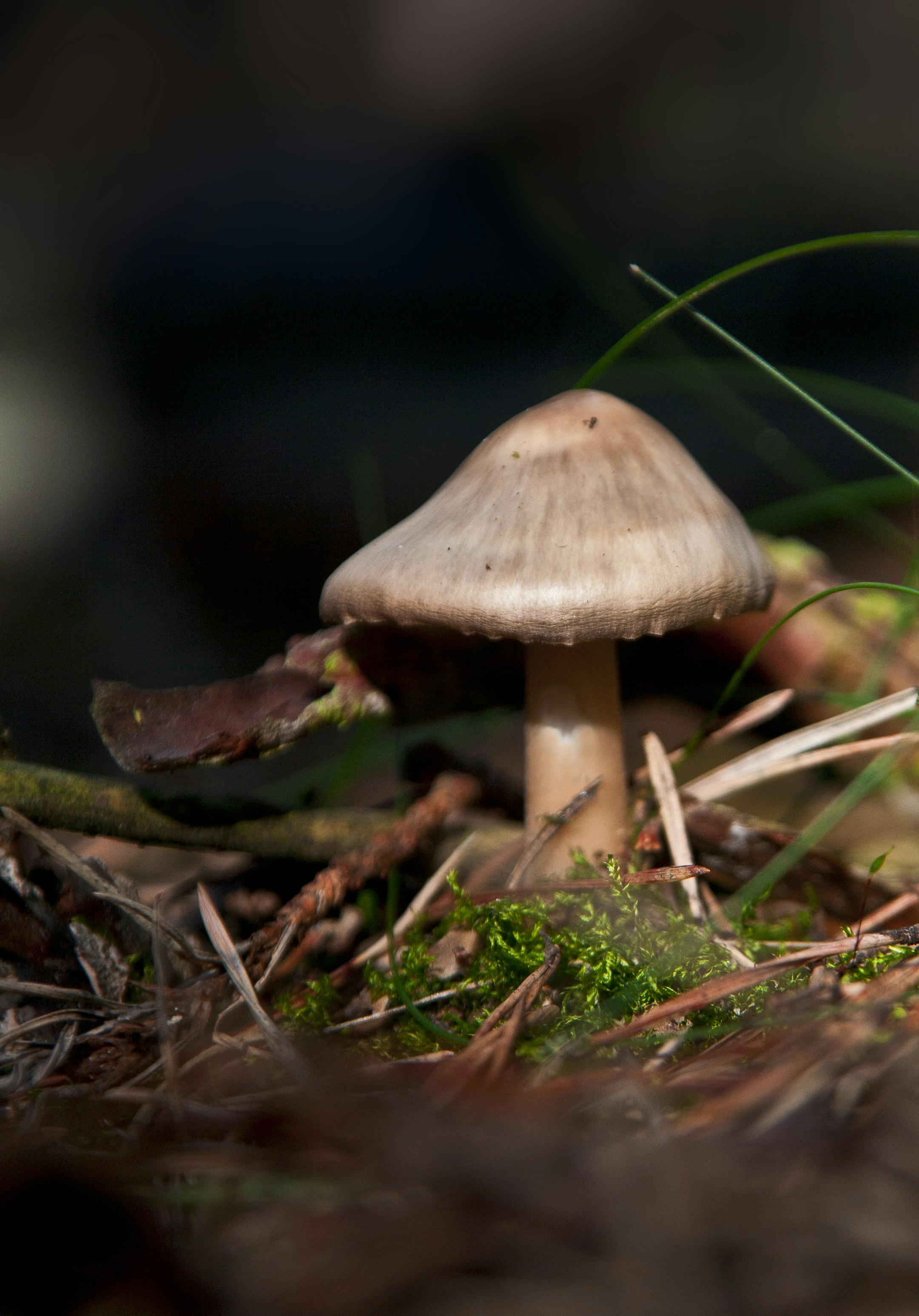 Photo by designer_magdeburg