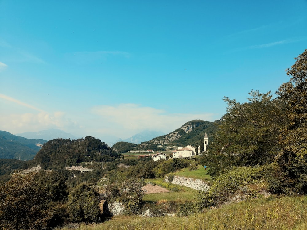 green trees on mountain under blue sky during daytime