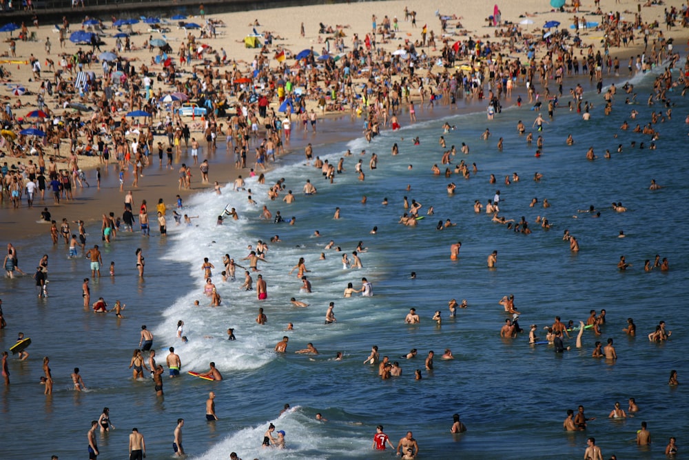 pessoas na praia durante o dia