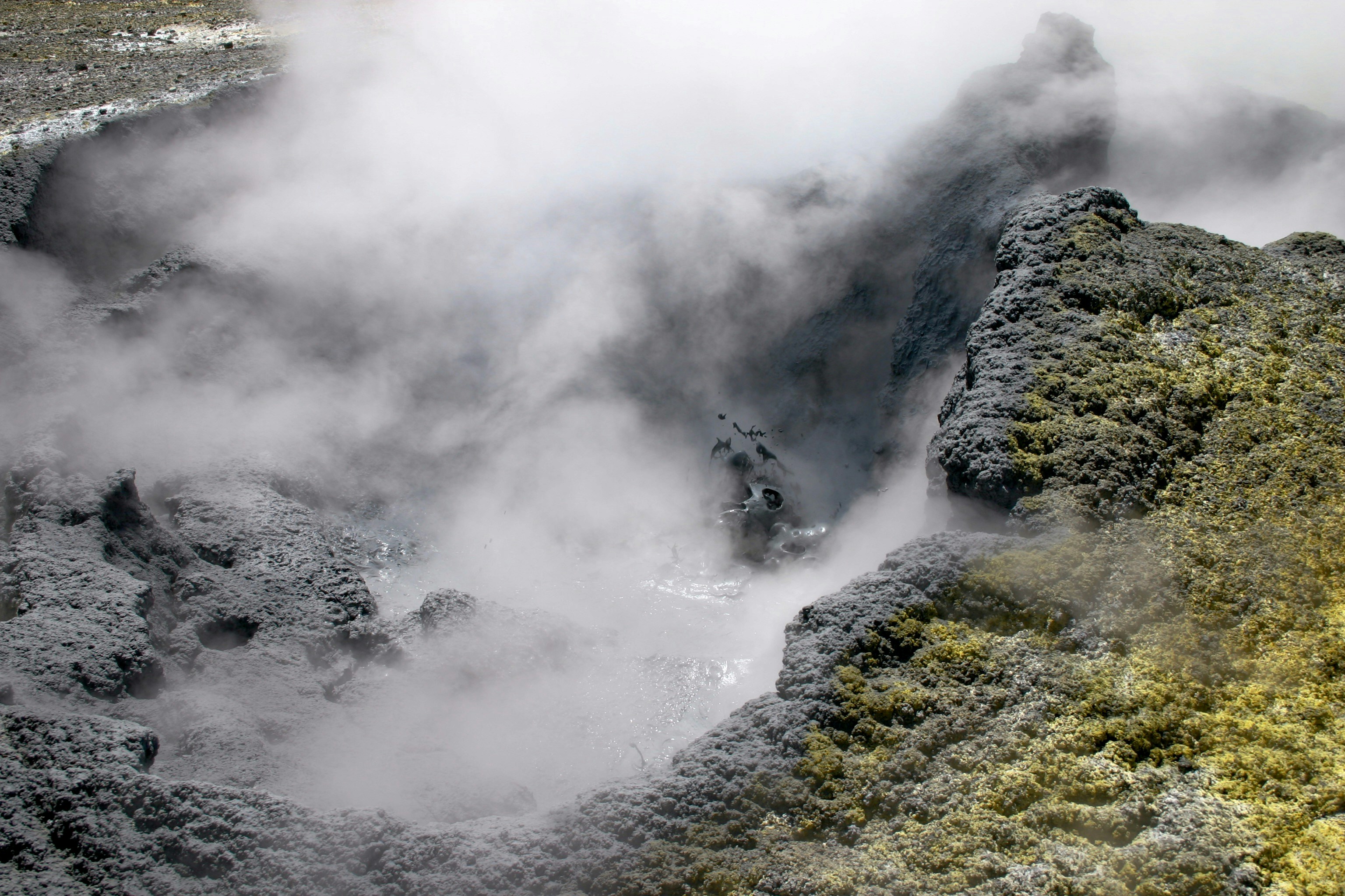 Government Agency Corruption