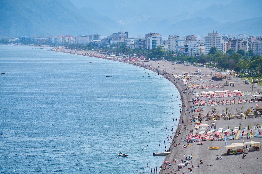 people on beach during daytime