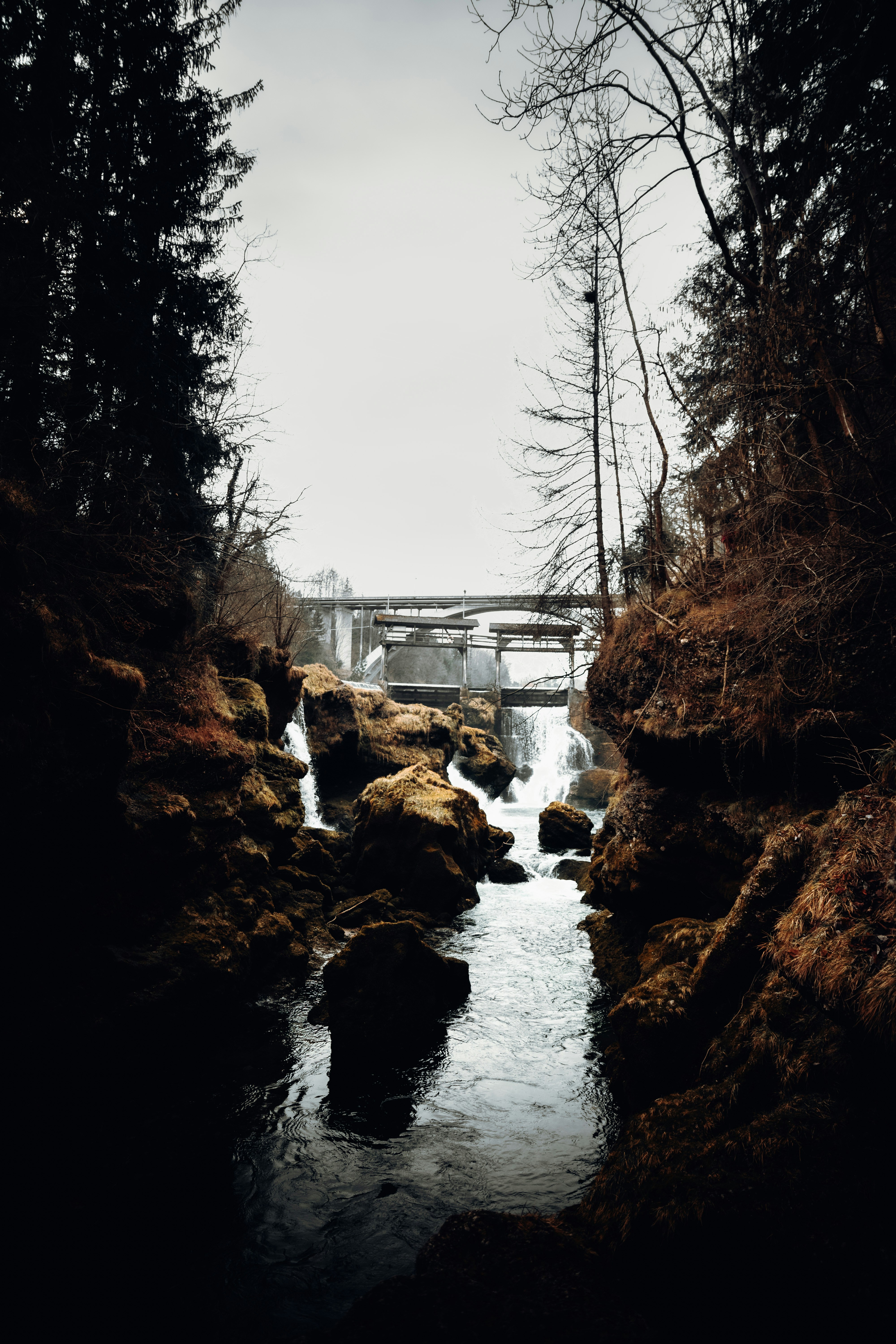 Photo by danieljschwarz