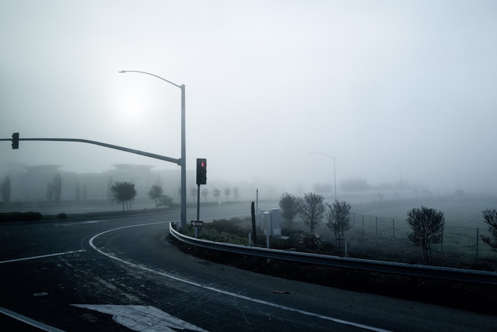 black traffic light on gray asphalt road during foggy day