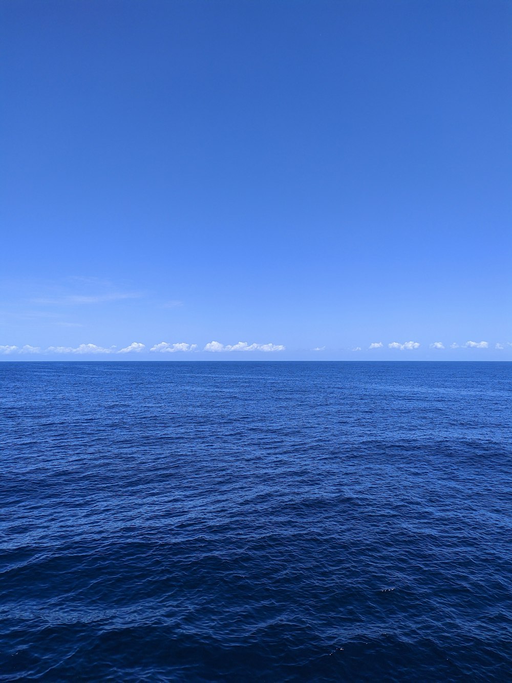 birds flying over the sea during daytime