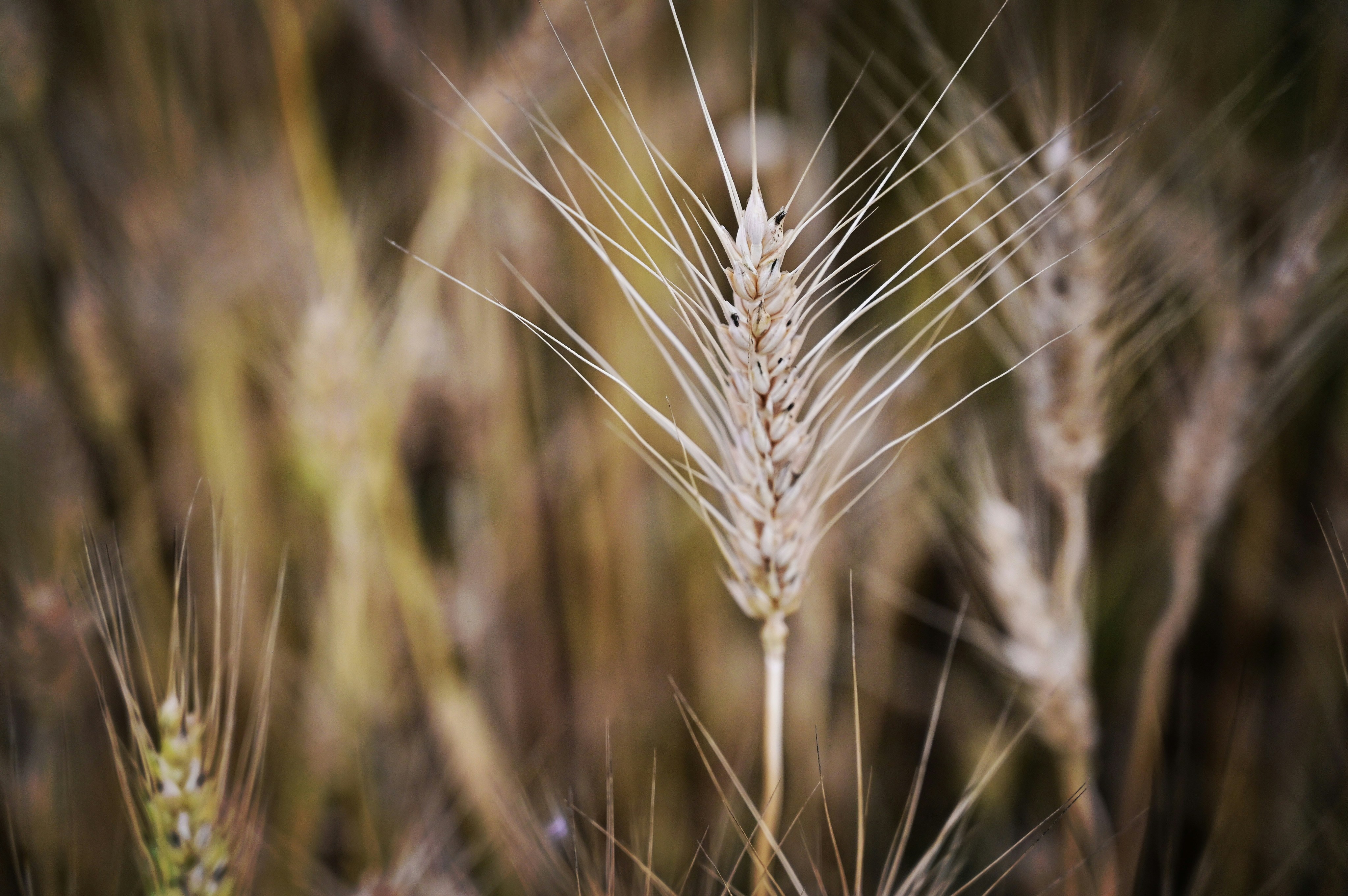 Photo by rrajputphotography