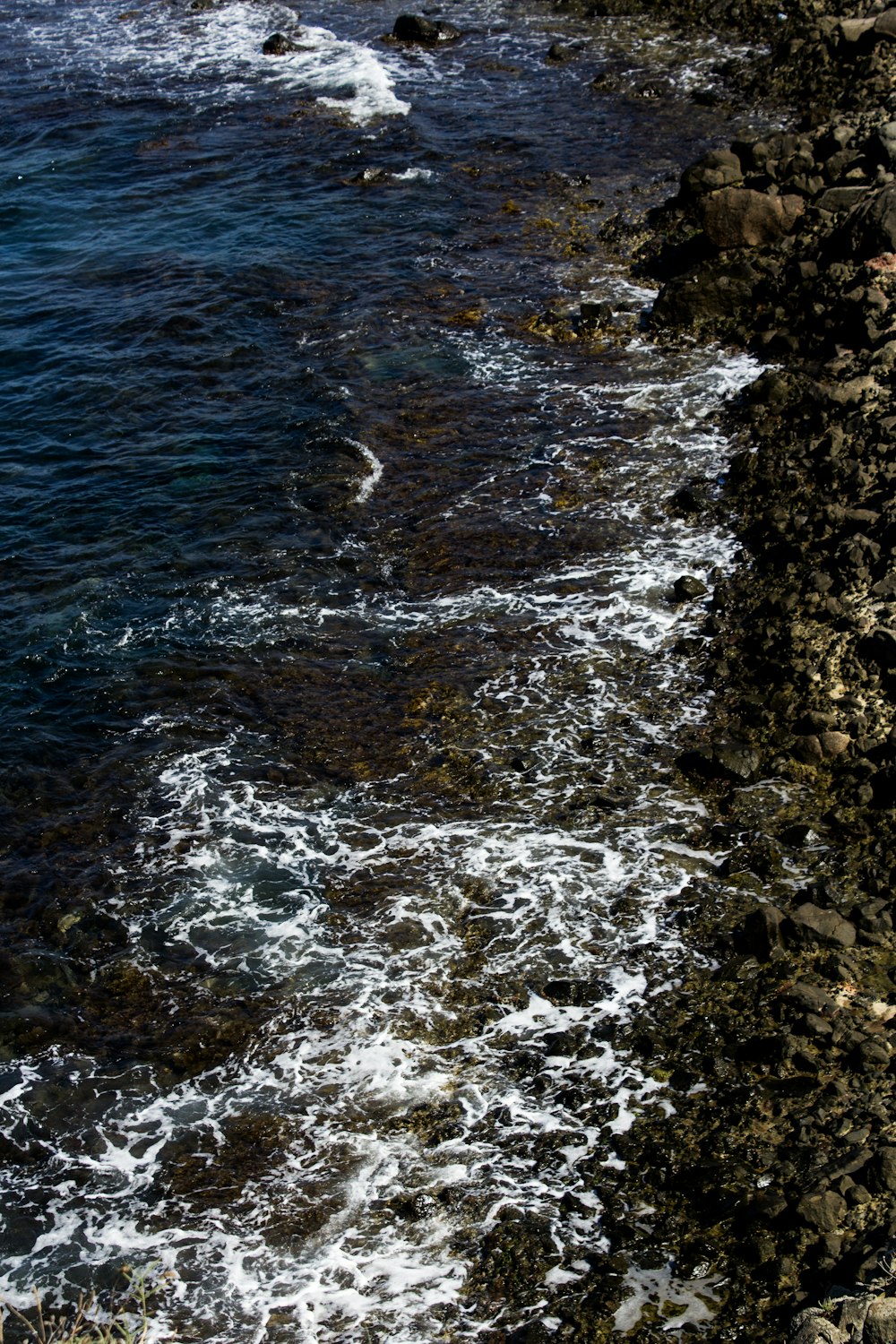 body of water near brown rocks during daytime