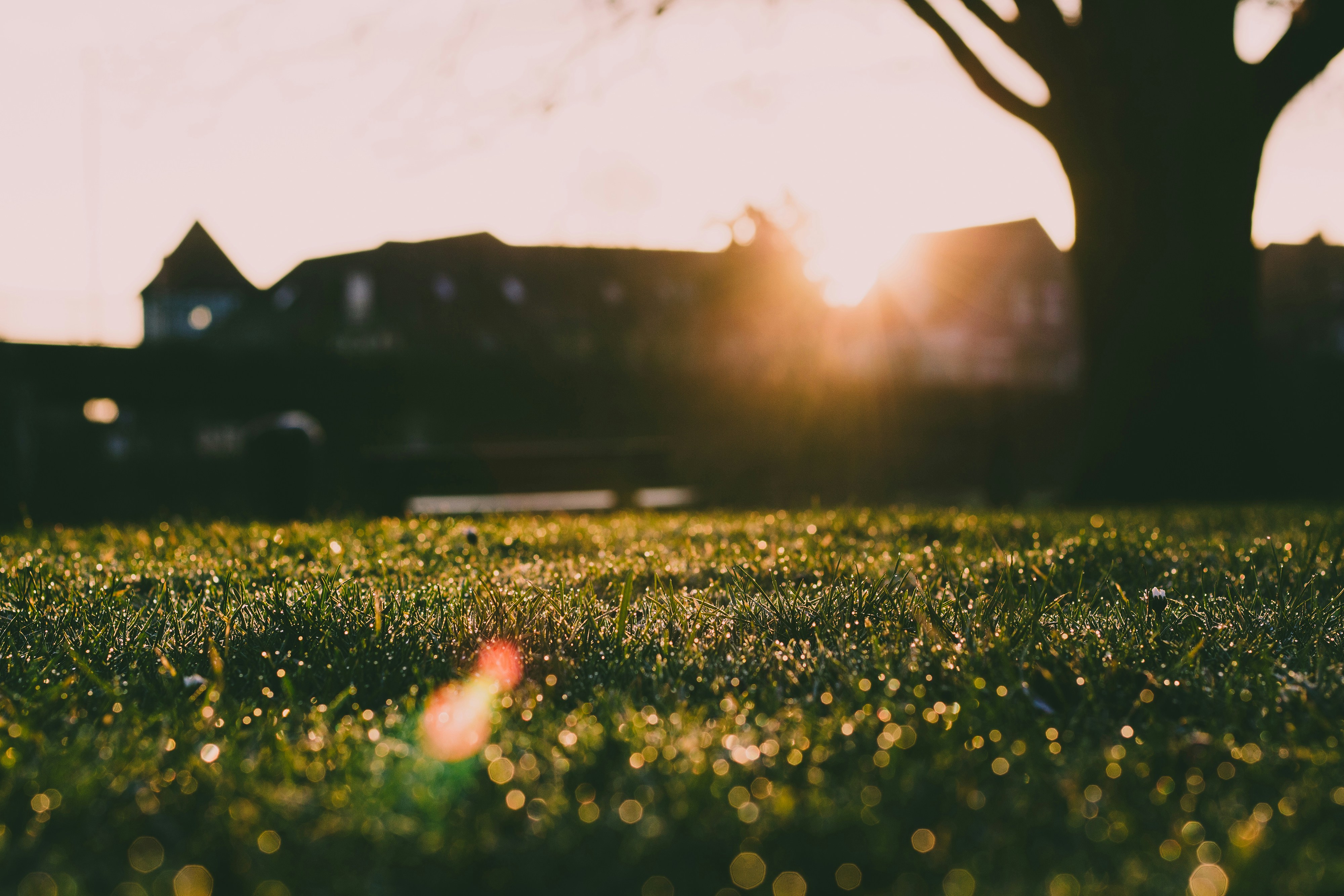 Photo by kevinboeger