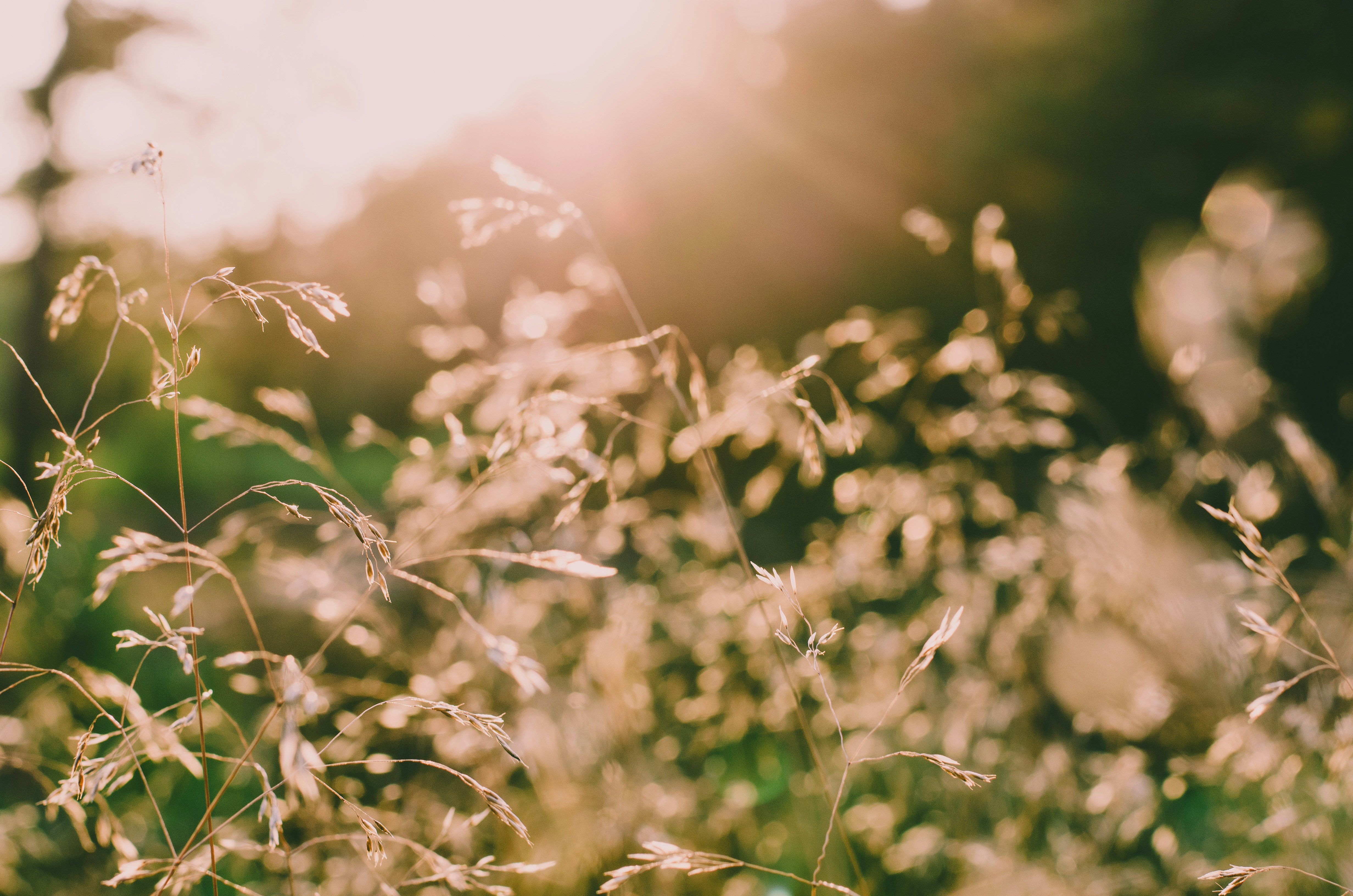 Photo by kevinboeger