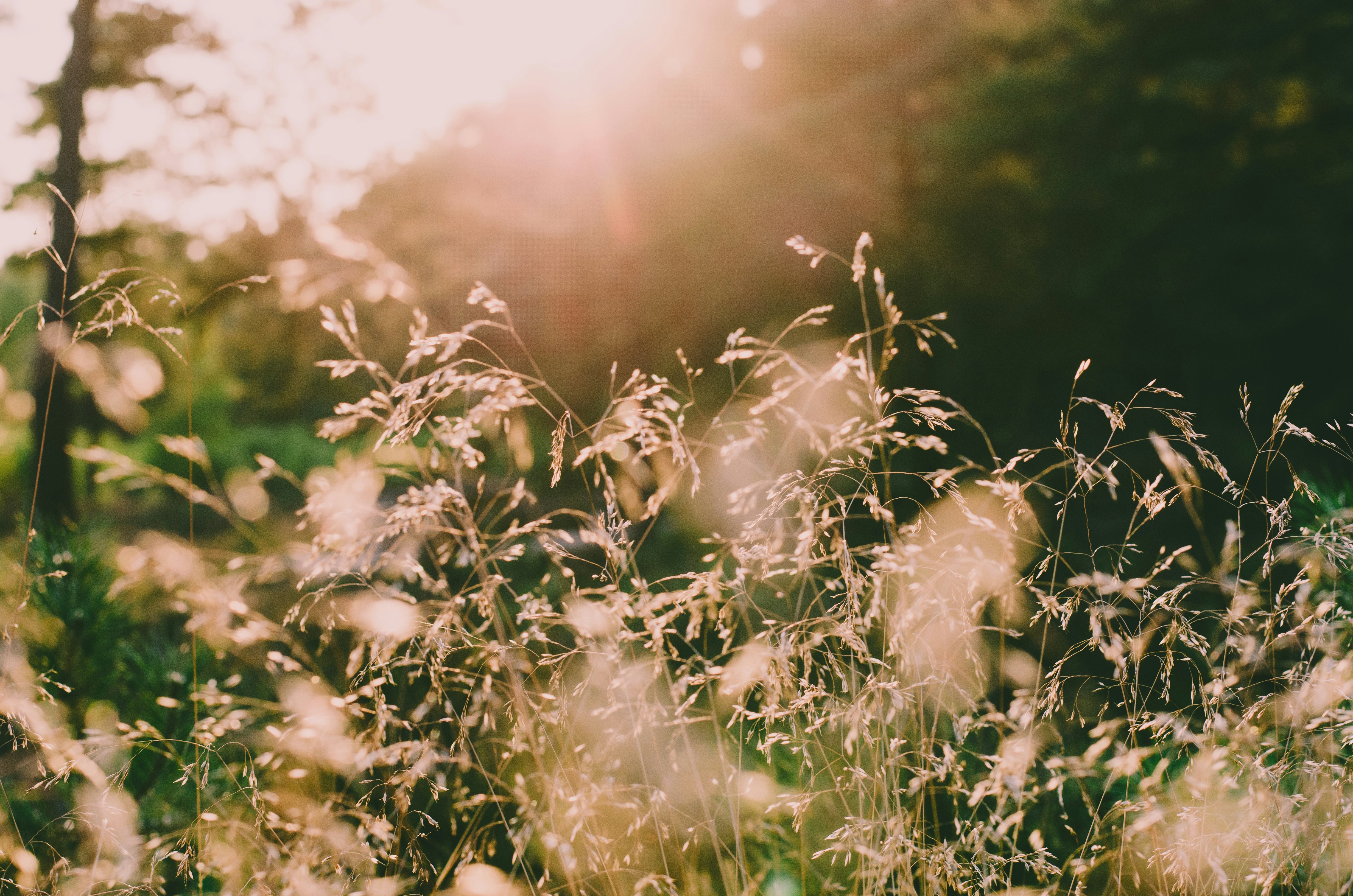 Photo by kevinboeger