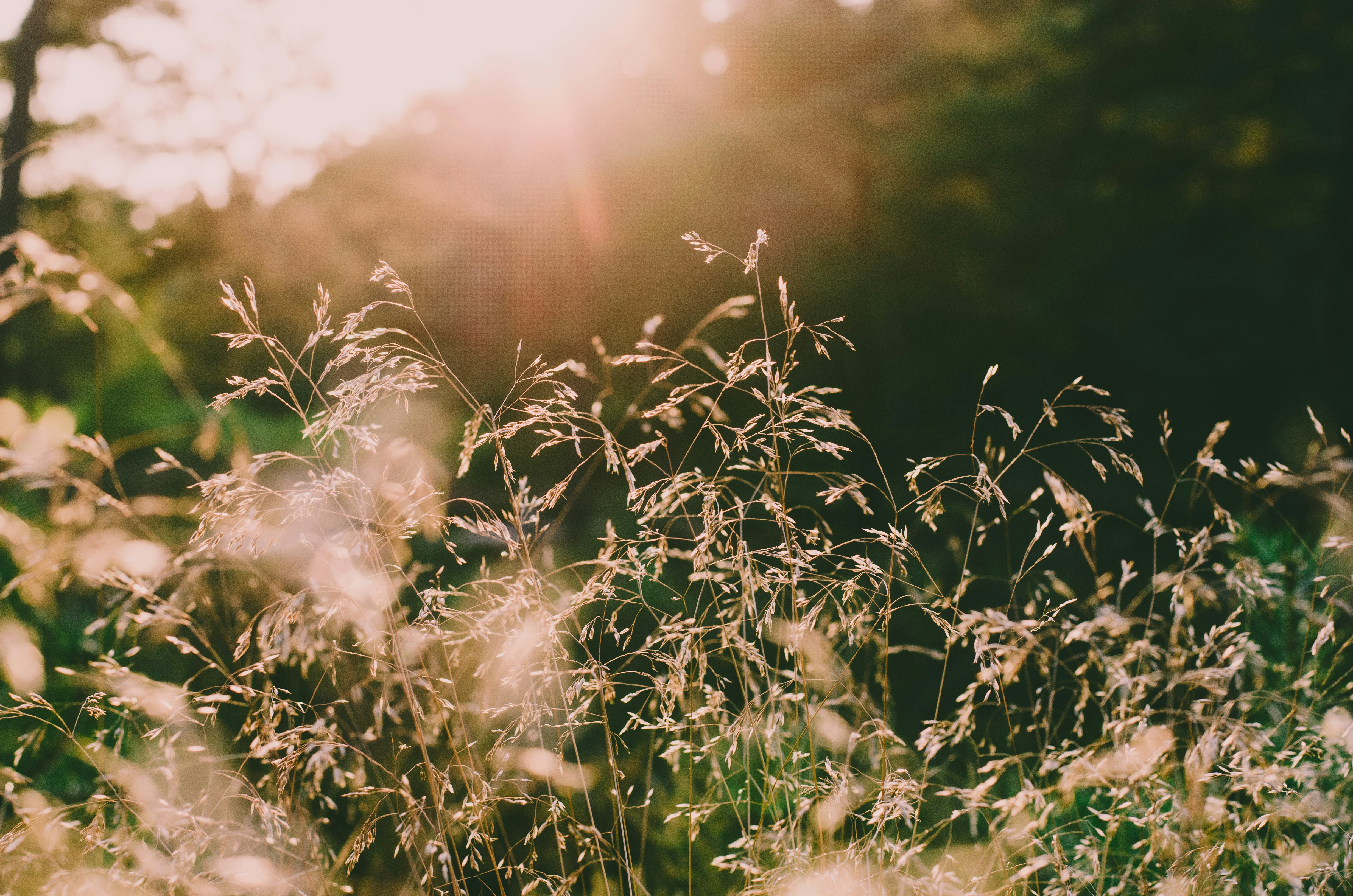 Photo by kevinboeger