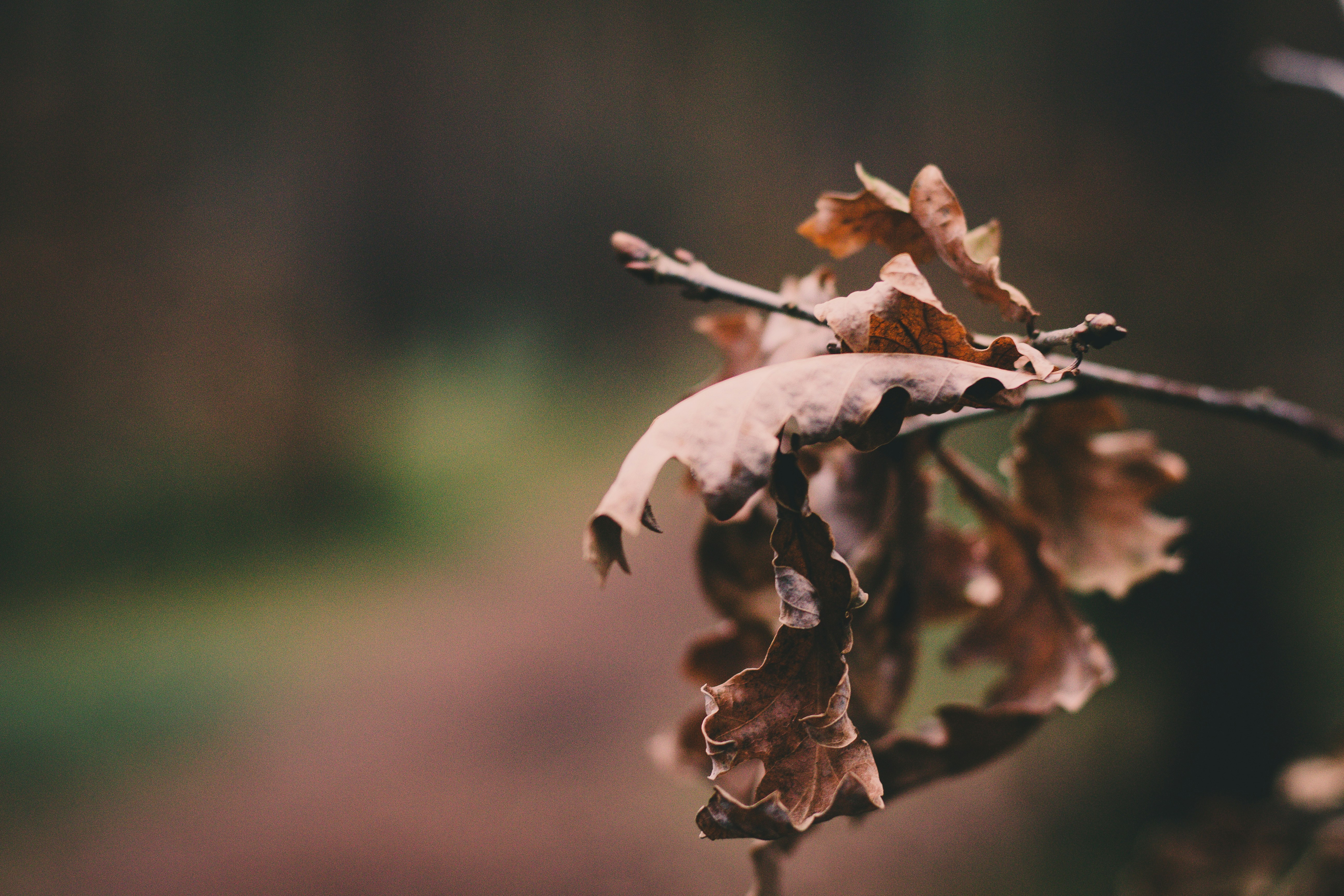 Photo by kevinboeger