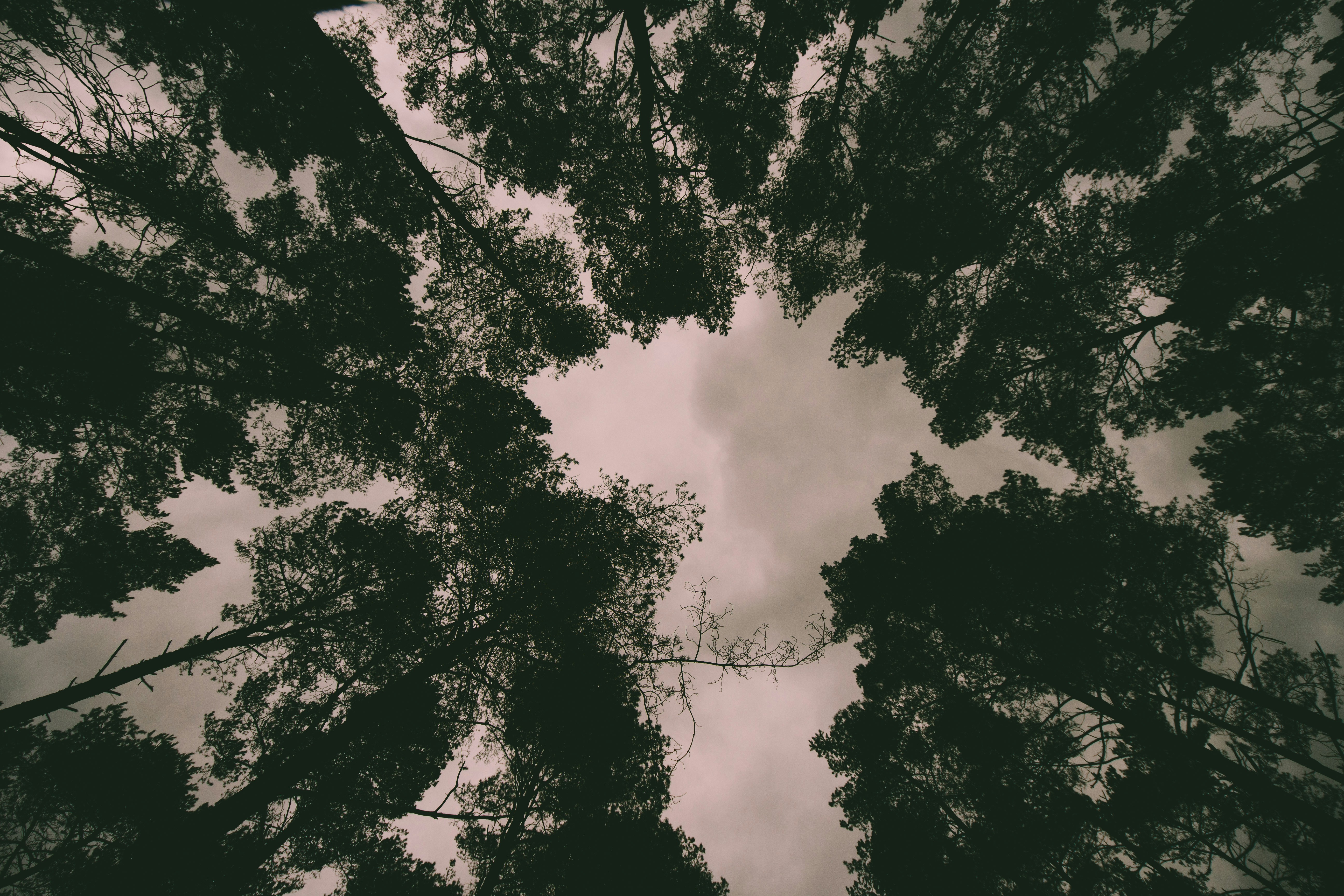 Photo by kevinboeger