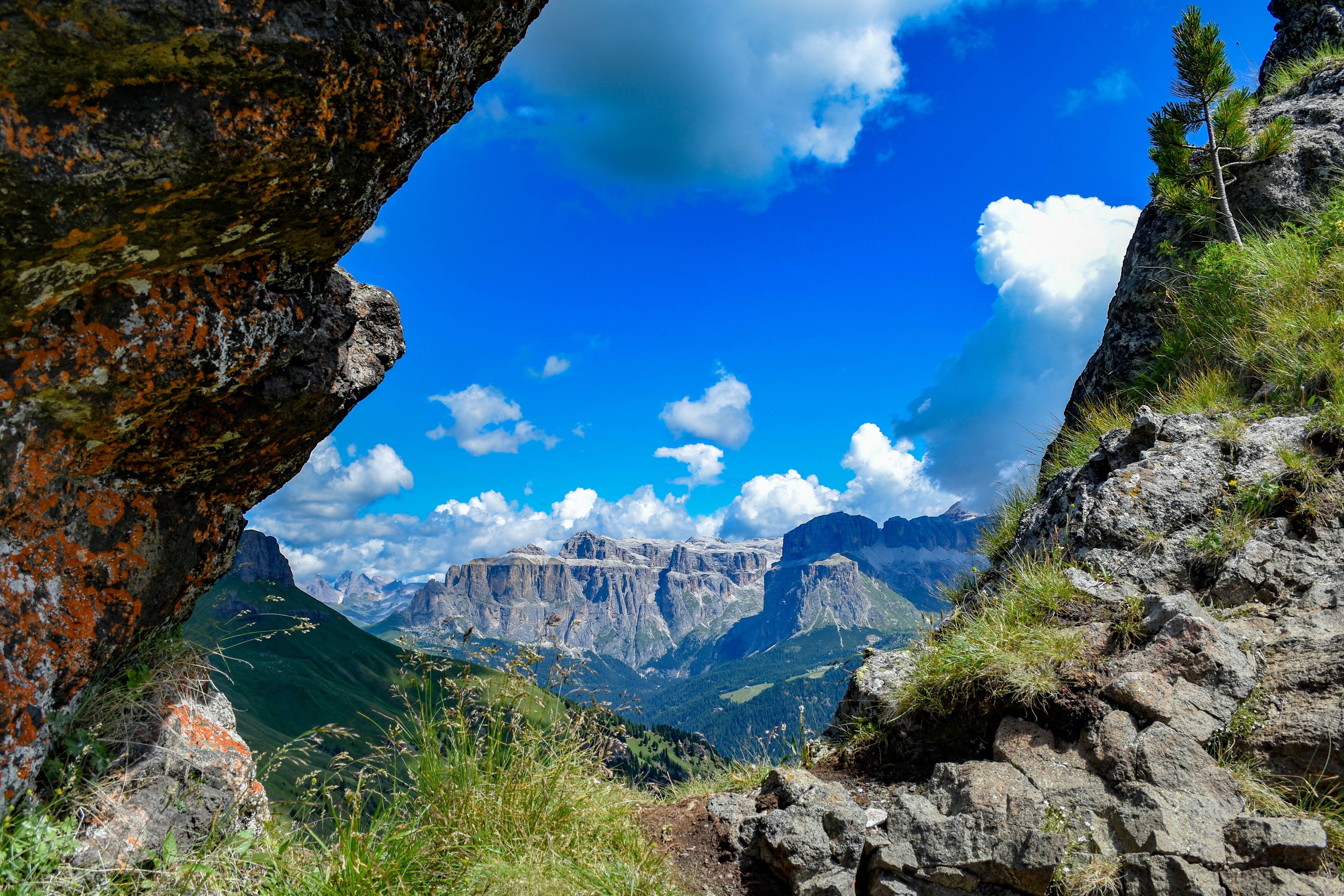 Photo by dendrolago89