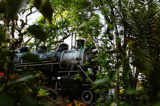 black train in the middle of the forest during daytime in Querétaro Mexico
