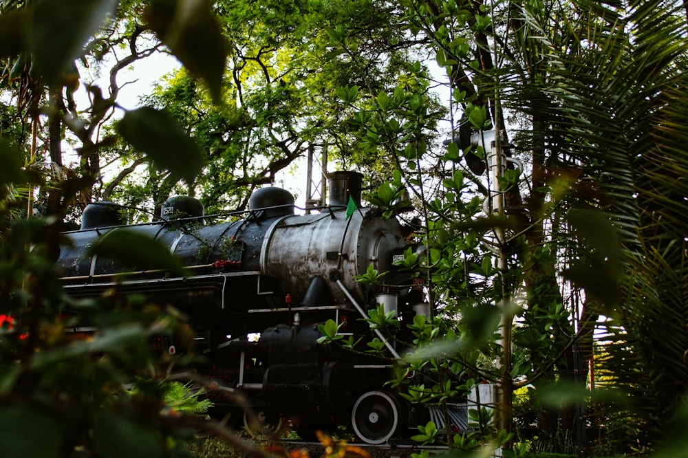 black train in the middle of the forest during daytime