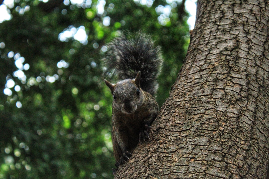 Nature reserve photo spot Mexico City Morelos