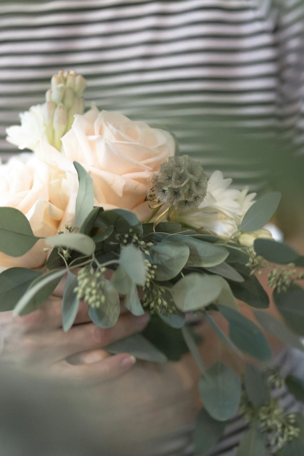 person holding white flower in front of white window blinds